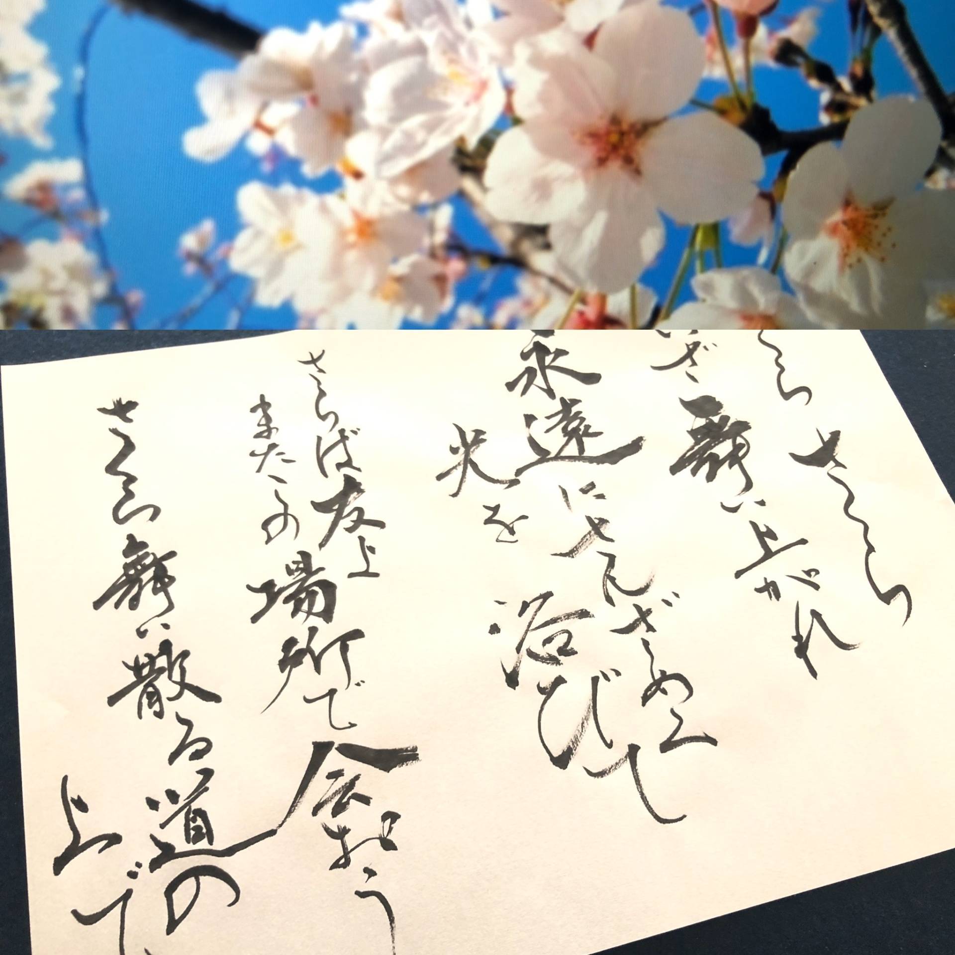 歌詞書き 書道 森山直太郎さん さくら